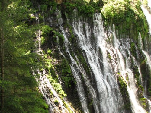 Burney Falls